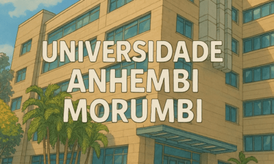 Imagem gerada pela IA Generativa - Chatgpt da OpenIA - usando o estilo do estúdio Ghibli