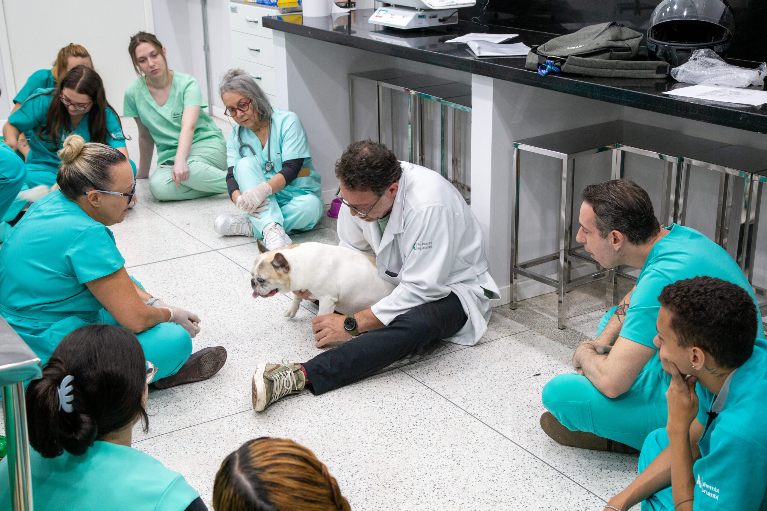 Alunos de Medicina Veterinária levam seus animais de estimação para a aula