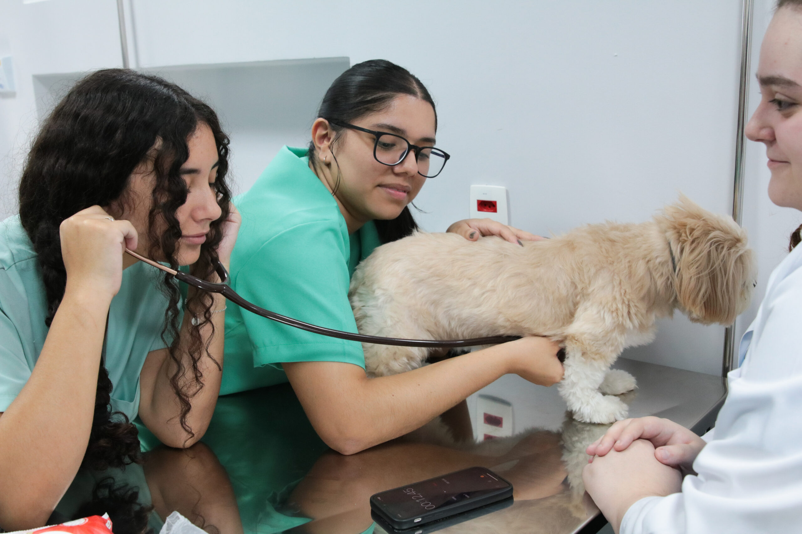 Centro Veterinário da Paulista