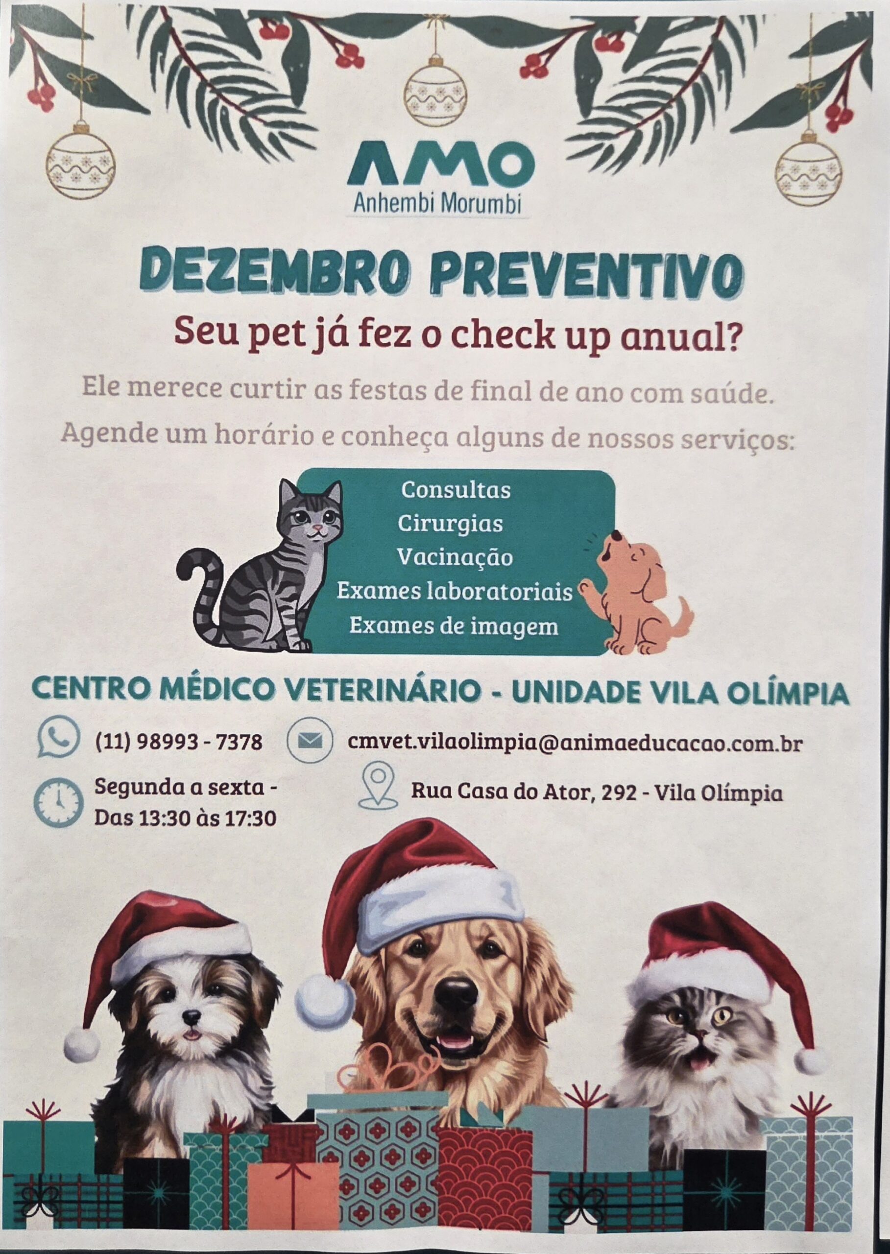 check up pet centro médico veterinário