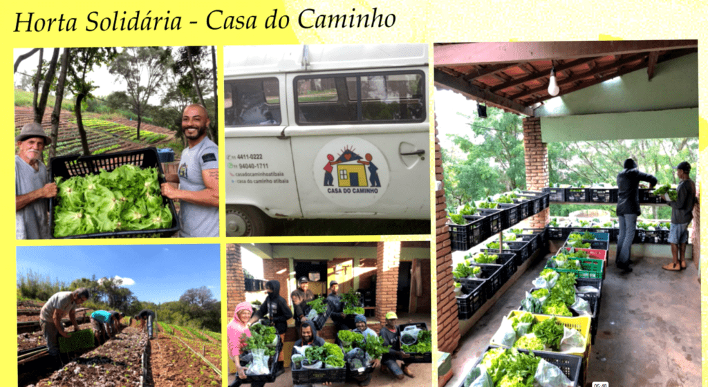 Resultado do projeto Tipos Solidários - Horta Solidária | Imagem: Cedida por Anna Rezende