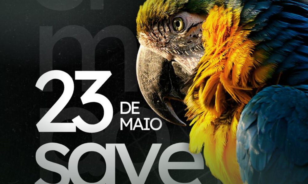 Simpósio Animais Silvestres
