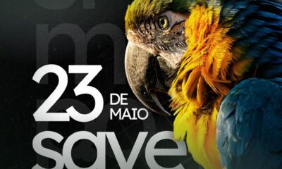 Simpósio Animais Silvestres
