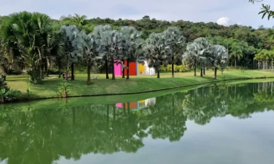 Instituto Inhotim