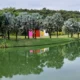 Instituto Inhotim