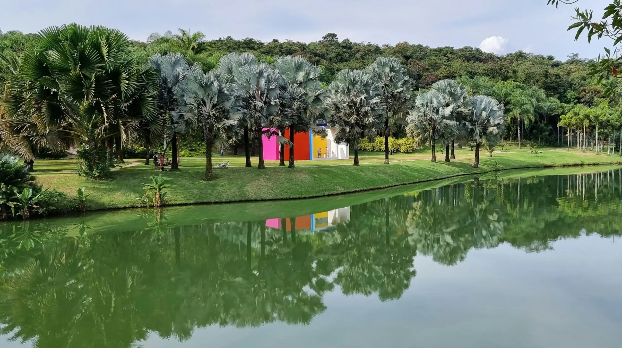 Instituto Inhotim