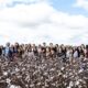 Alunos de moda visita fazenda de algodão